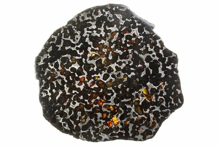 Polished Sericho Pallasite Meteorite ( g) Slice - Kenya #310392